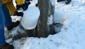Using Q-Set to anchor a telephone pole into snow covered ground